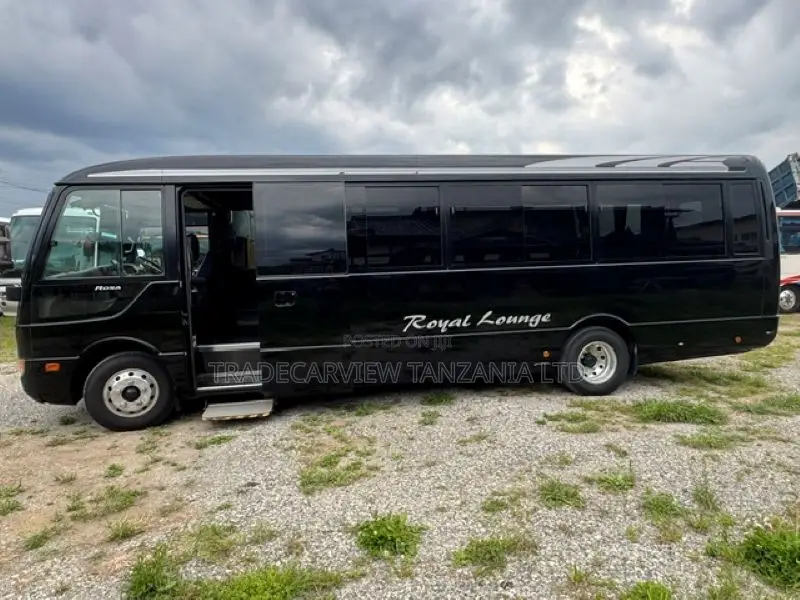 Mitsubishi Fuso Rosa 2006 Black