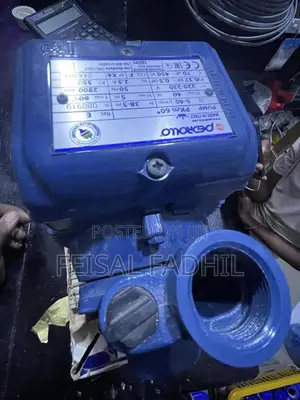 Pkm 60 W Water Pump
