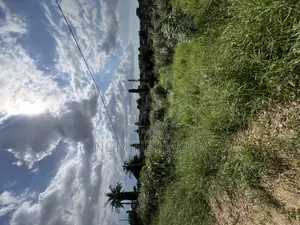 Plot for Sale