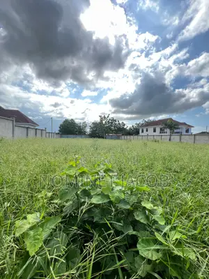 Plot for Sale