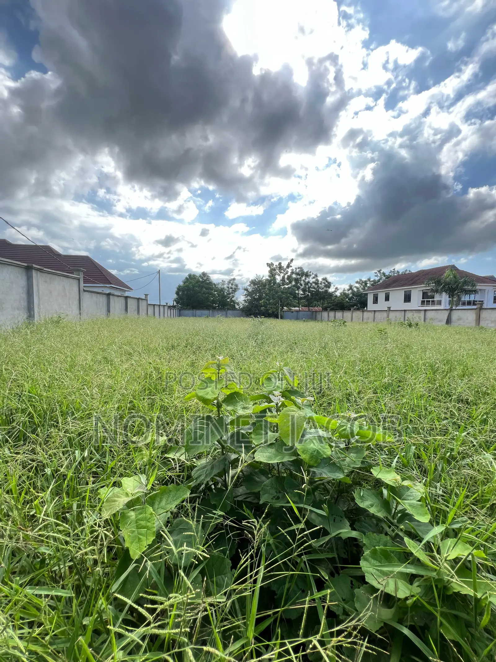 Plot for Sale