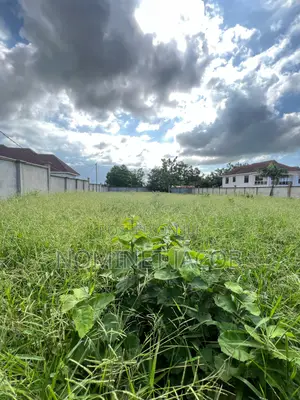 Plot for Sale
