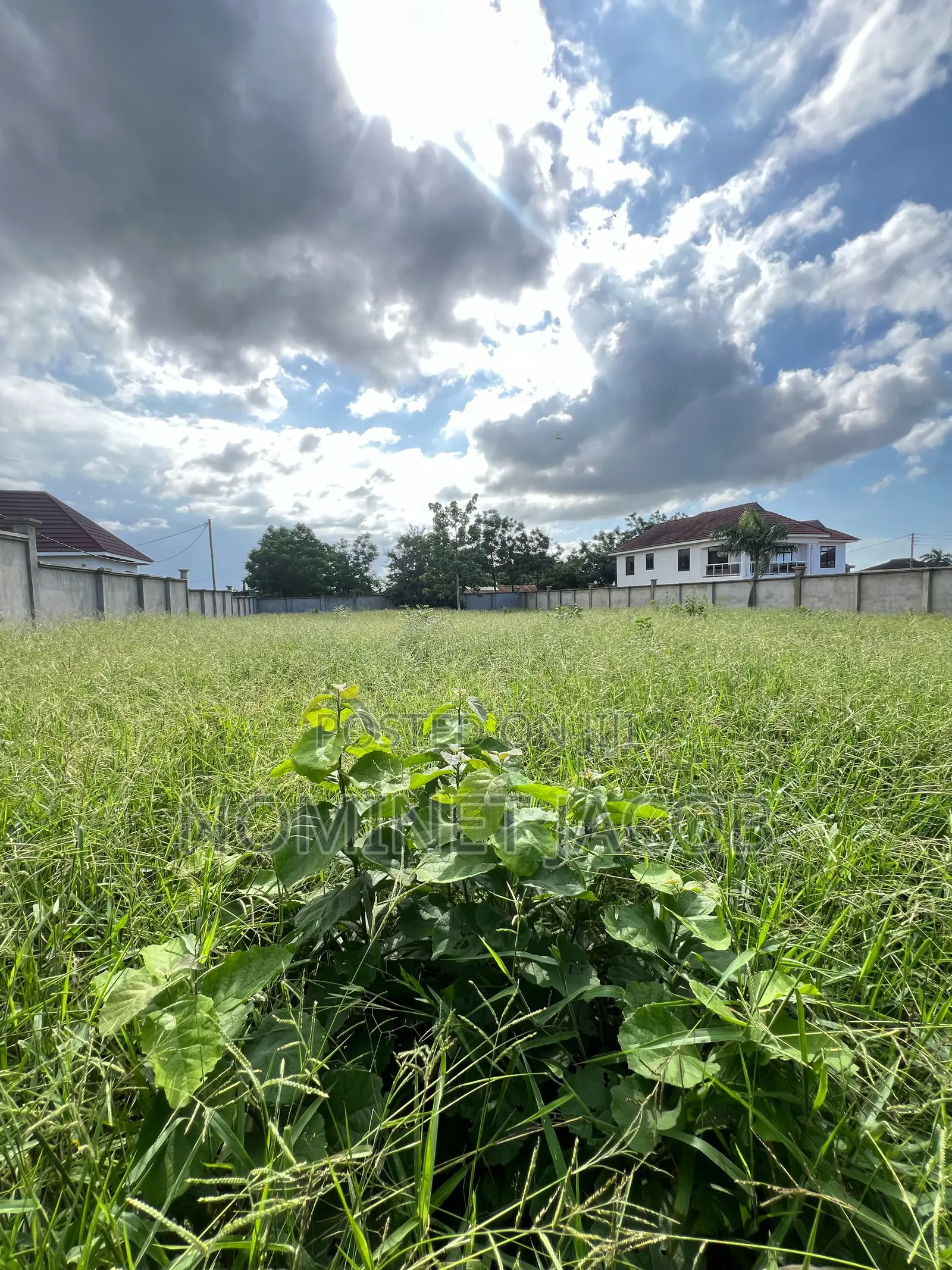 Plot for Sale
