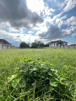 Plot for Sale