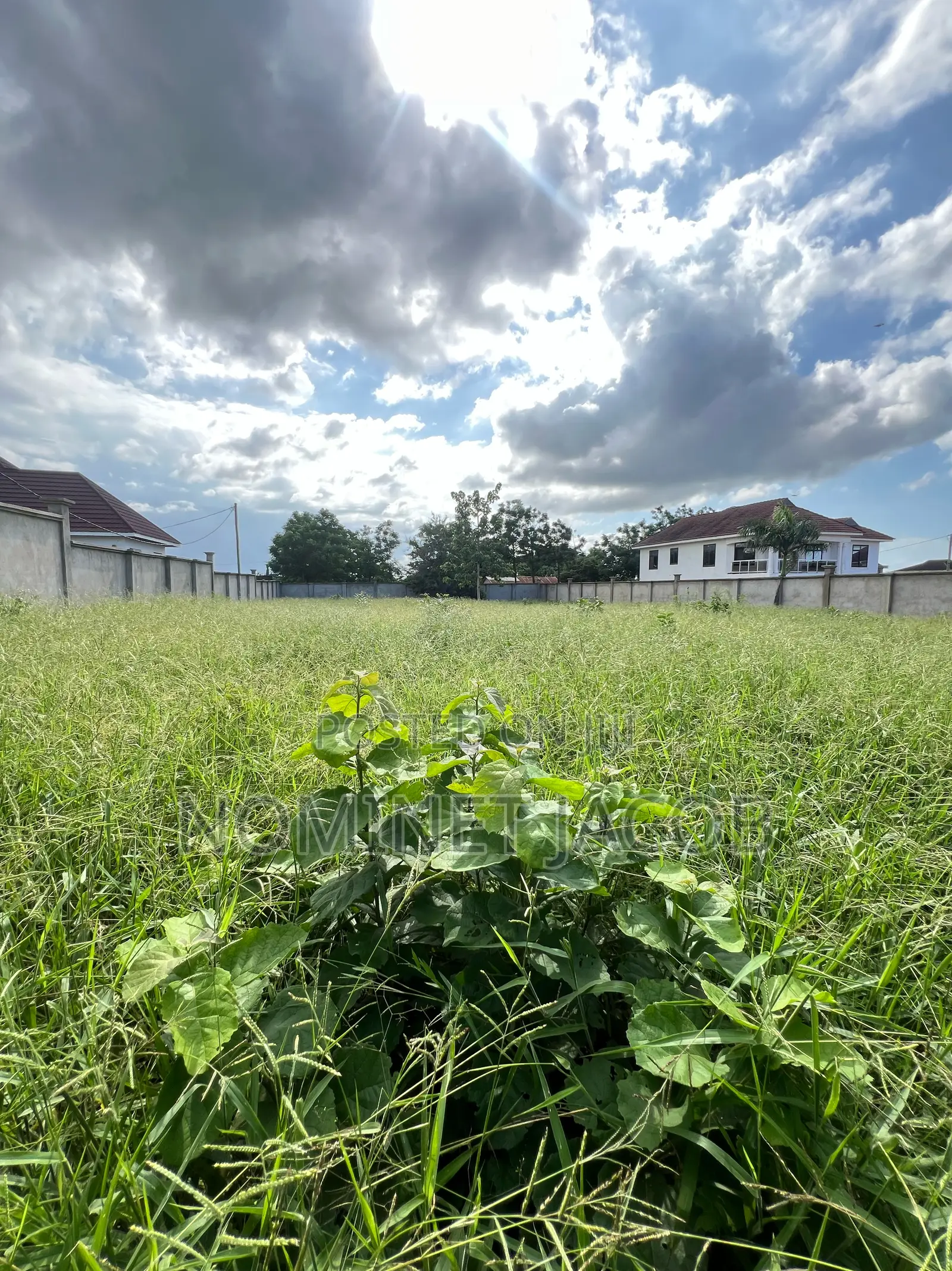Plot for Sale