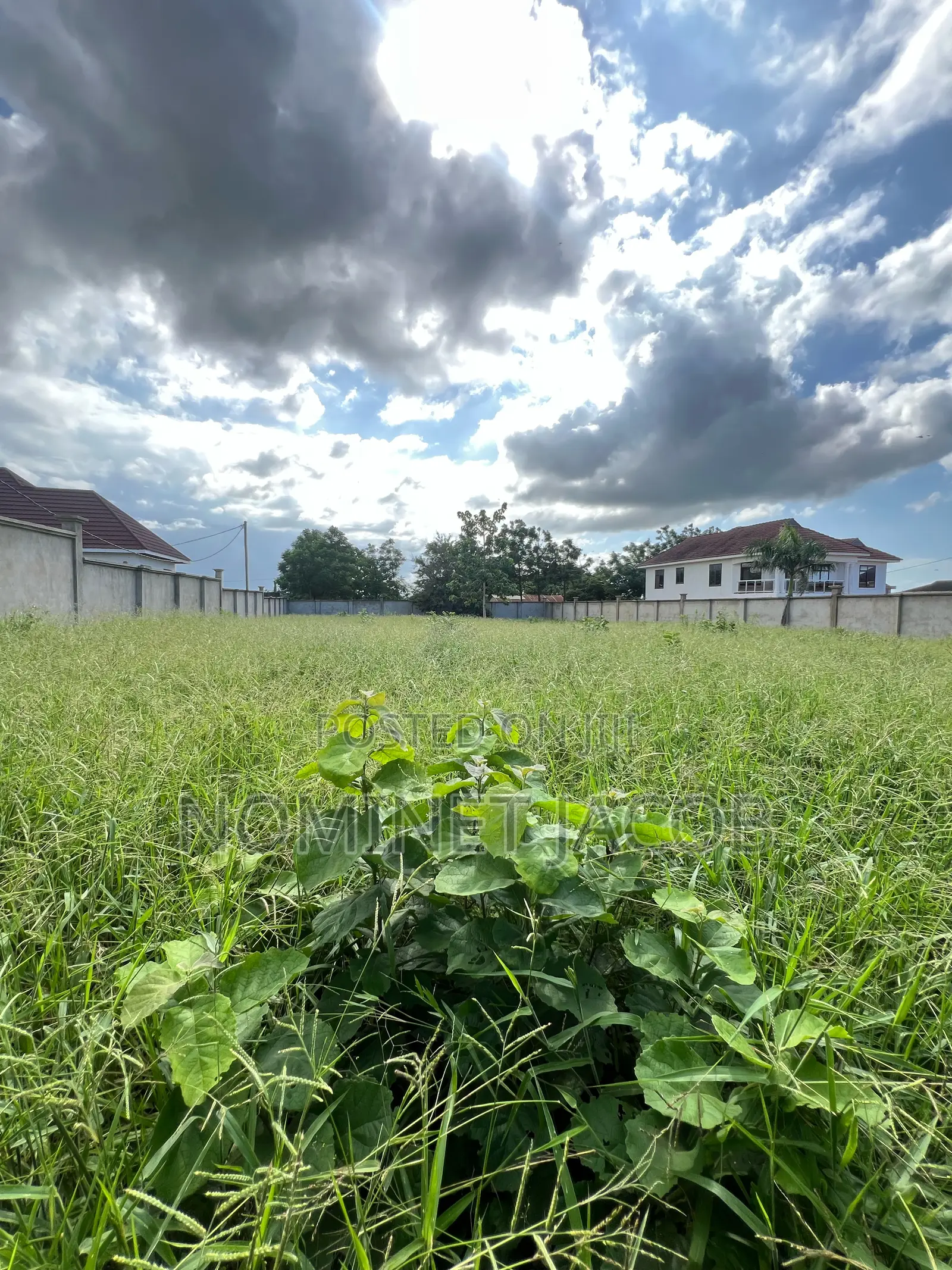 Plot for Sale