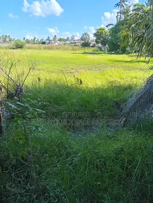 Plot Areq Sqm6000 for Rent at Mbezi Beach Rainbow