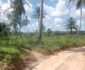 11 Acres Zinauzwa Mkuranga Dundani