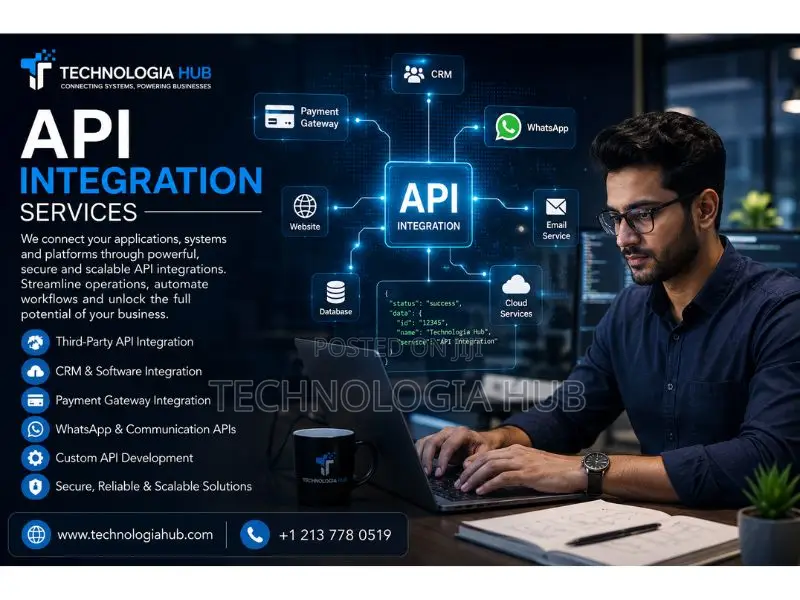 Professional Api Integration for Seamless Web Systems