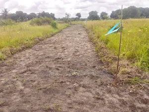 Viwanja Vinauzwa Chanika Dondwe