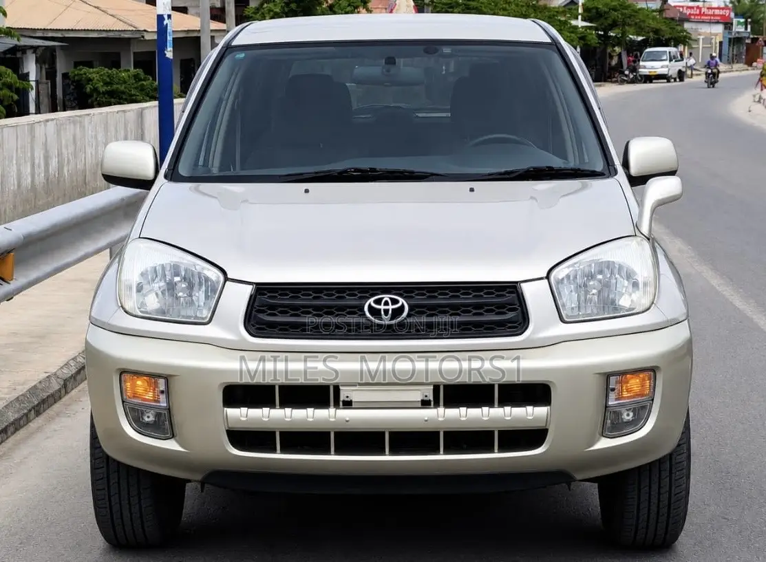 Toyota RAV4 Automatic 2003 Gold
