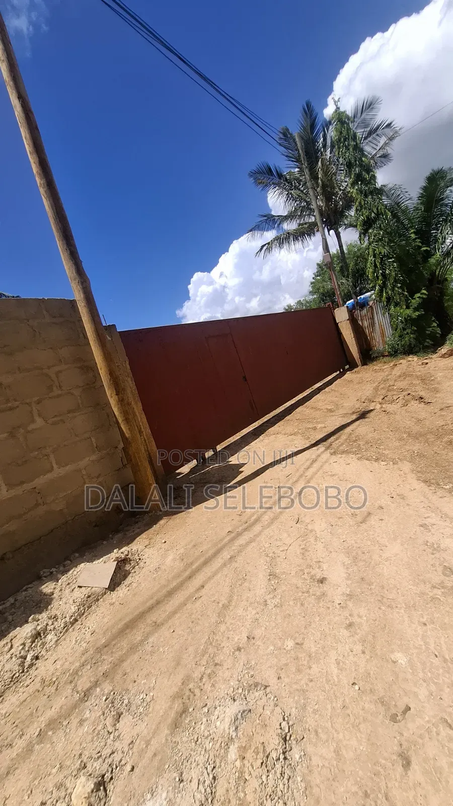 1hector at Salasala Fenced