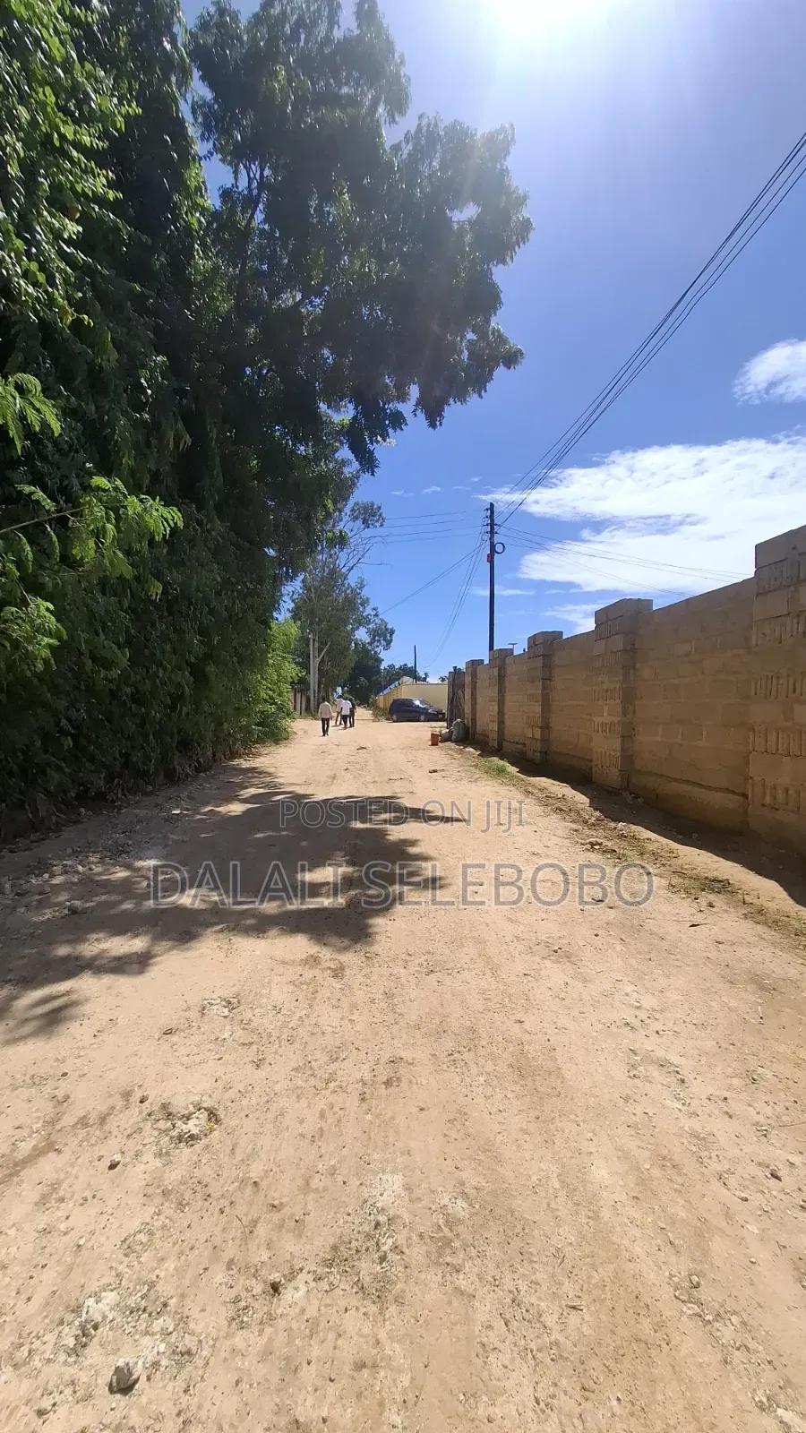 1hector at Salasala Fenced