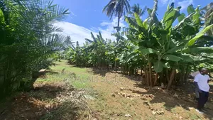 1hector at Salasala Fenced