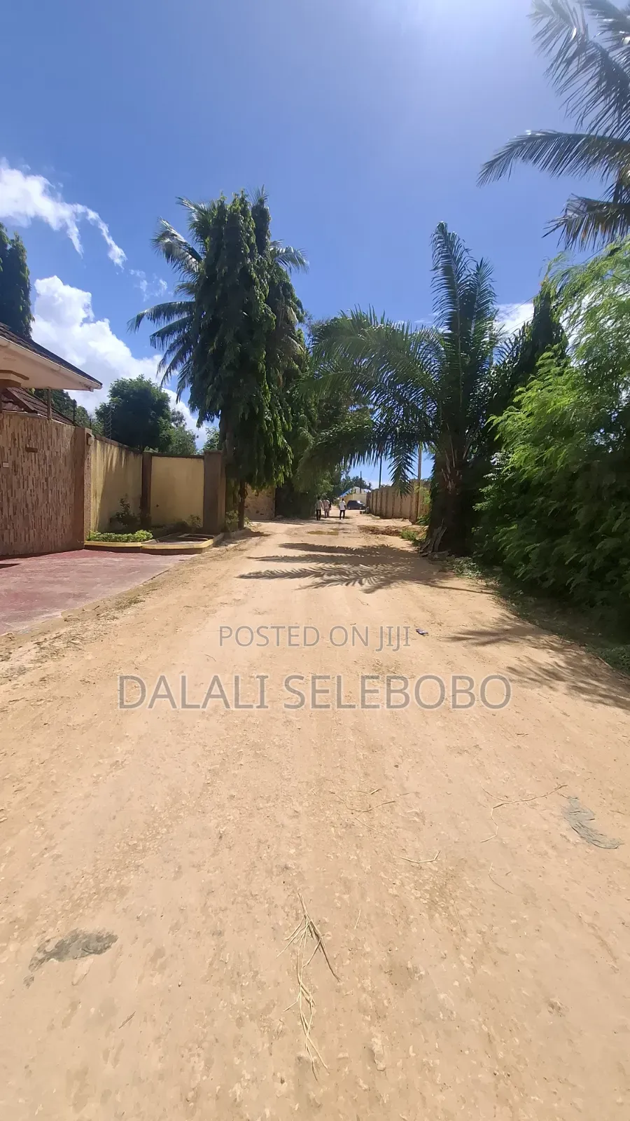 1hector at Salasala Fenced