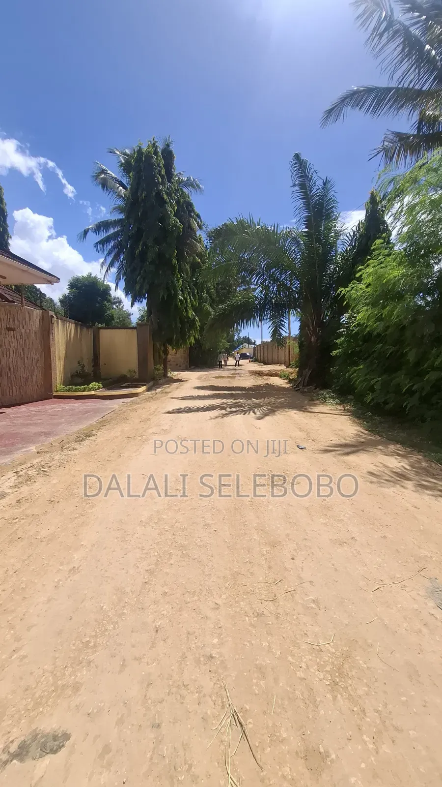 1hector at Salasala Fenced