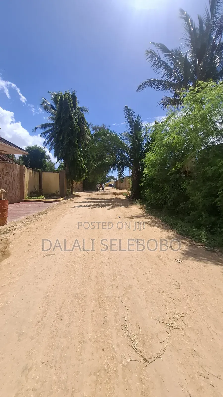 1hector at Salasala Fenced