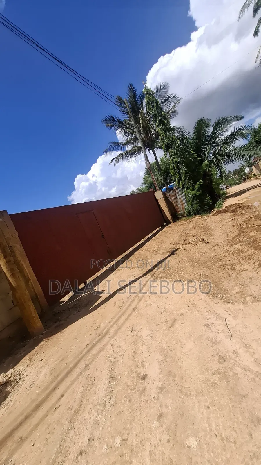 1hector at Salasala Fenced