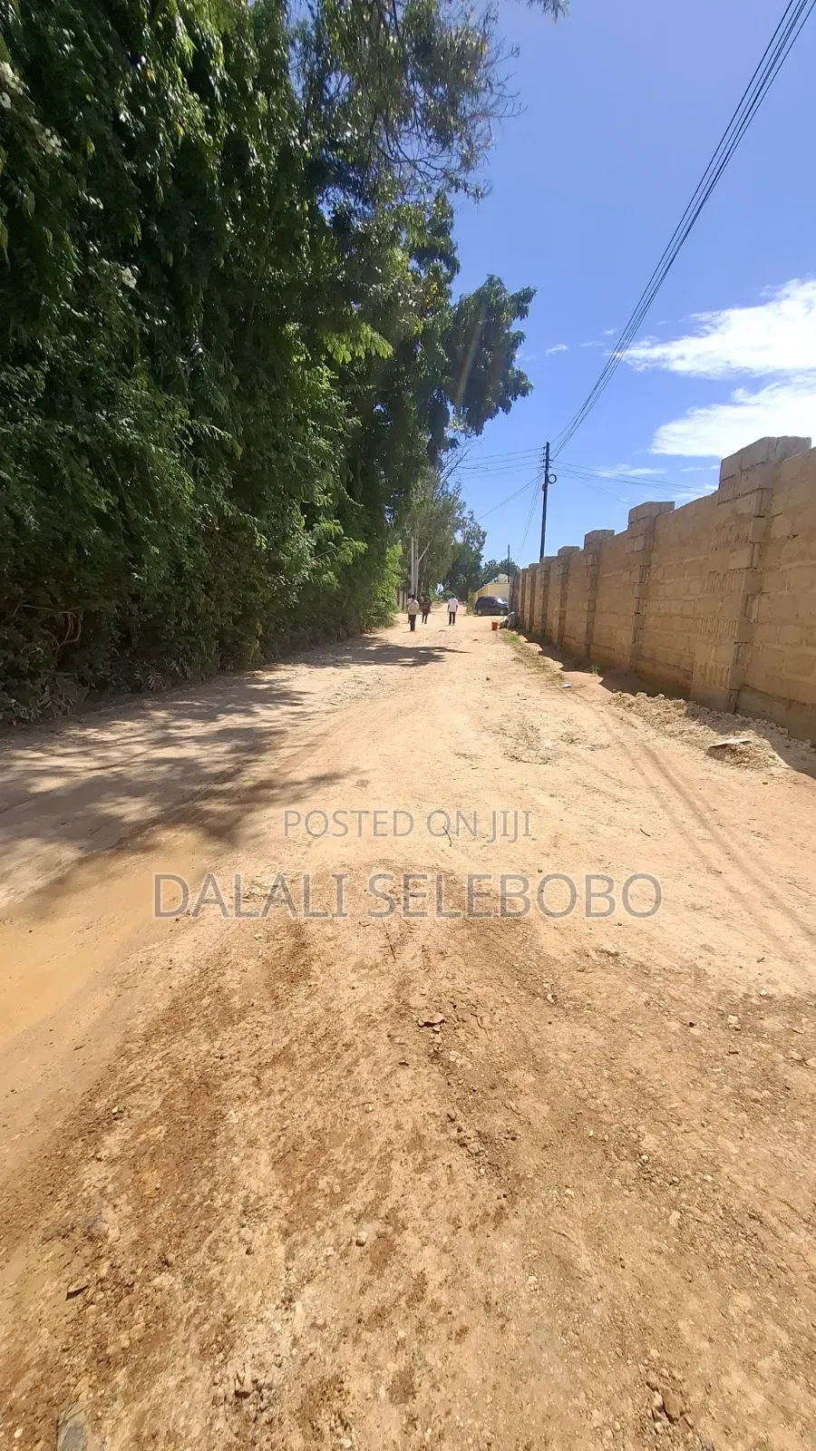 1hector at Salasala Fenced