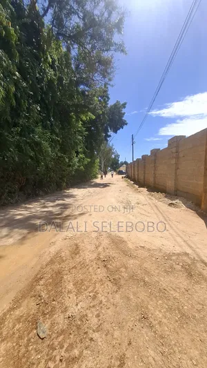 Plot 4 Yard at Salasala Scansca 1hector