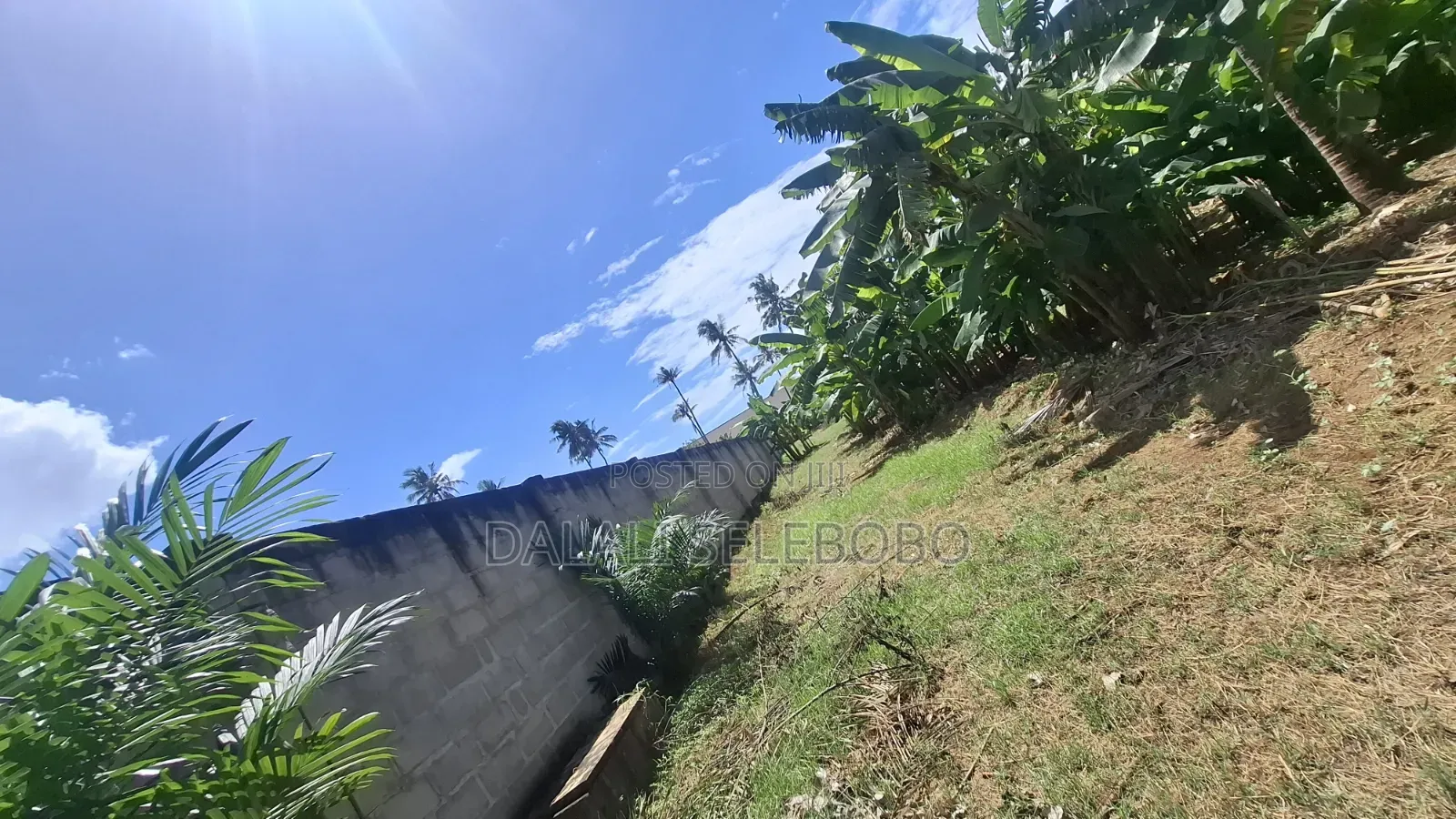 Plot 4 Yard at Salasala Scansca 1hector