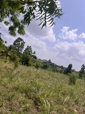 Plot for Sale at Goba Njia Nne 1000 SQM