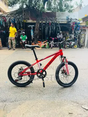Bmx Size 20 (Brand New)