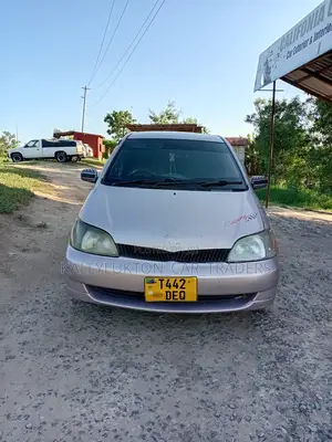 Toyota Platz 2000 Brown