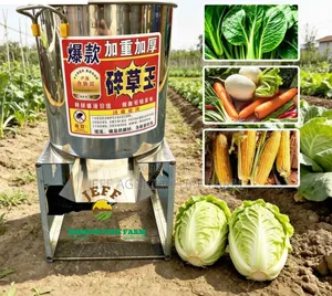 Food Chopper 20kg