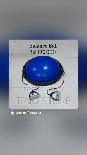 Balance Ball for Professionals