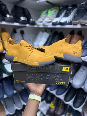 New Fashion And Design Shoes//Cat Casual Shoes Wear