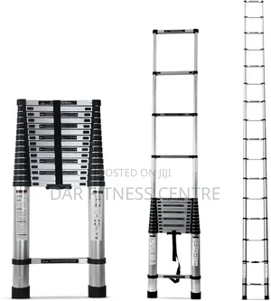 Telescope Ladder 3 Meters