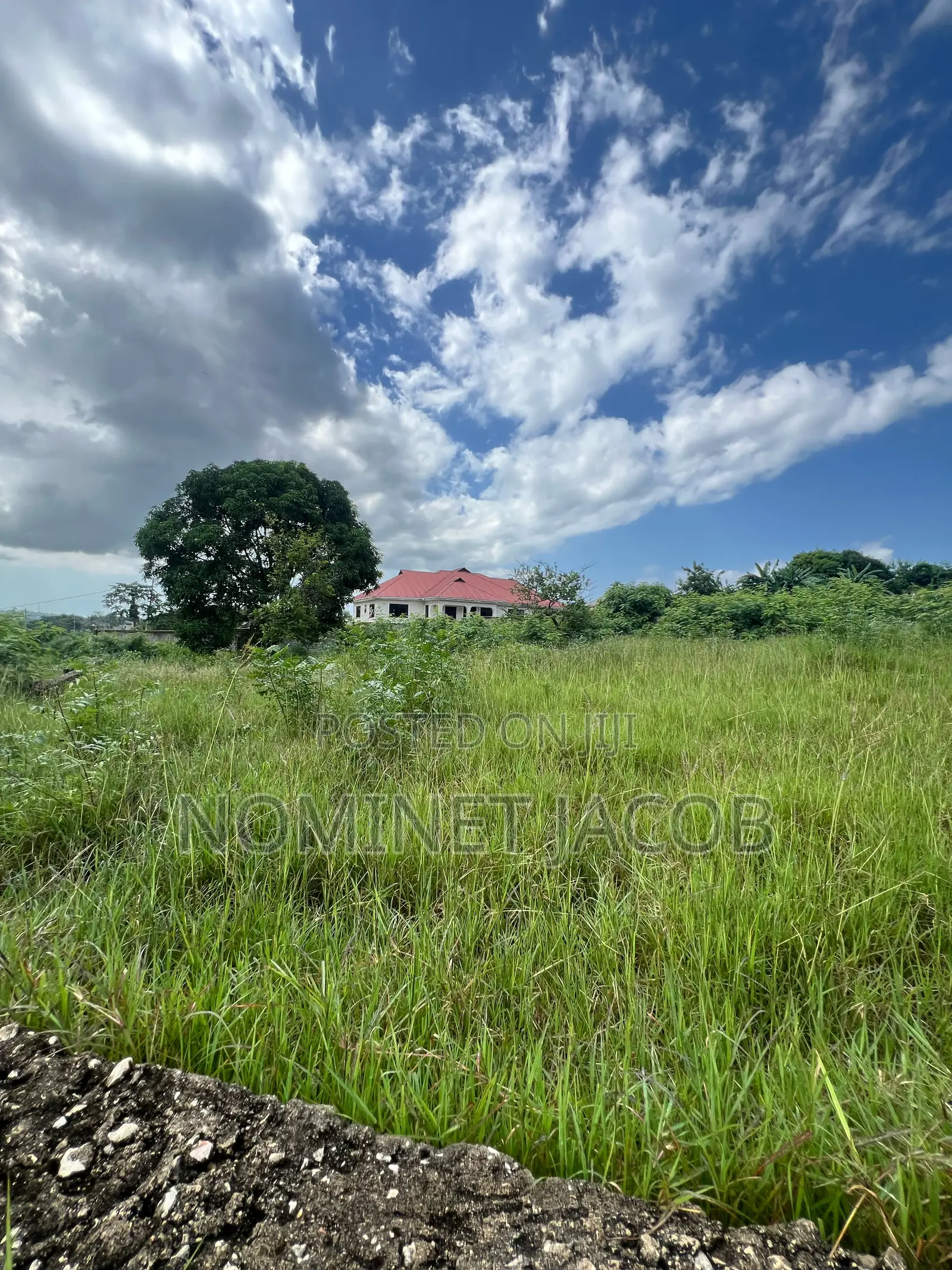 Plot for Sale
