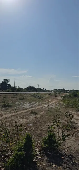 Farm for Sell