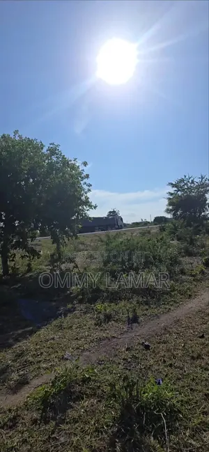 Farm for Sell