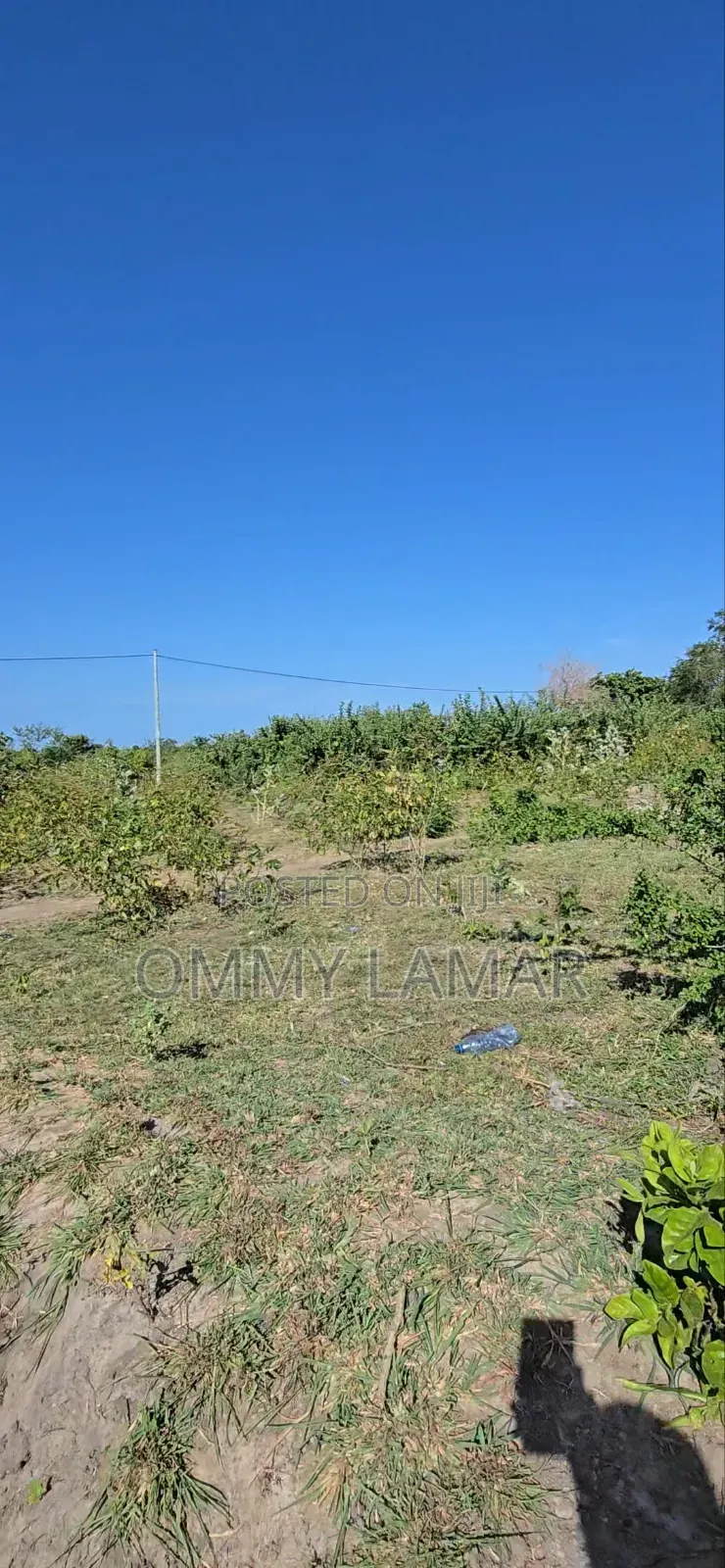 Farm for Sell