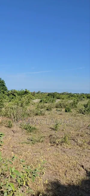 Farm for Sell