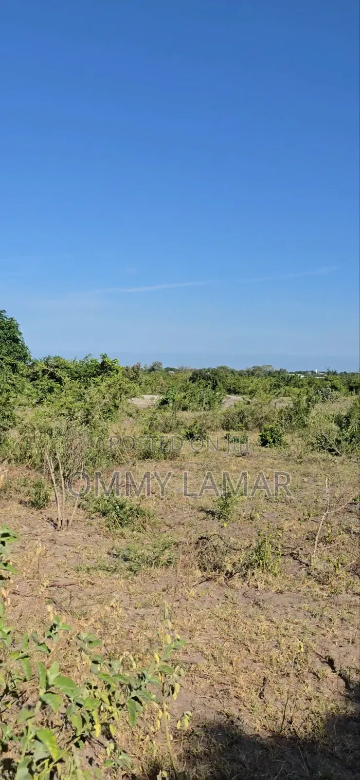 Farm for Sell