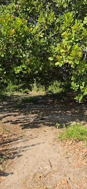 Farm for Sell