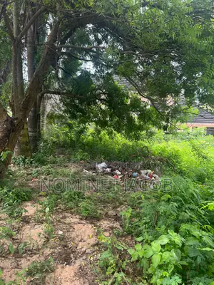 Plot for Sale