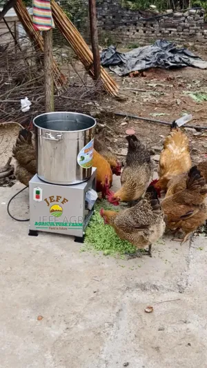 Food Chopper Mixer