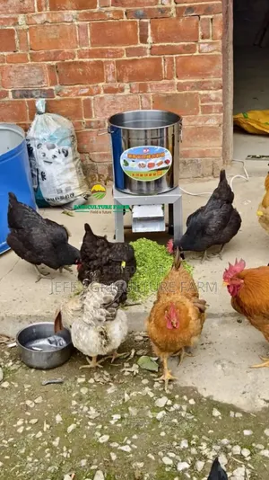 Food Chopper Mixer