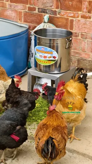 Food Chopper Mixer