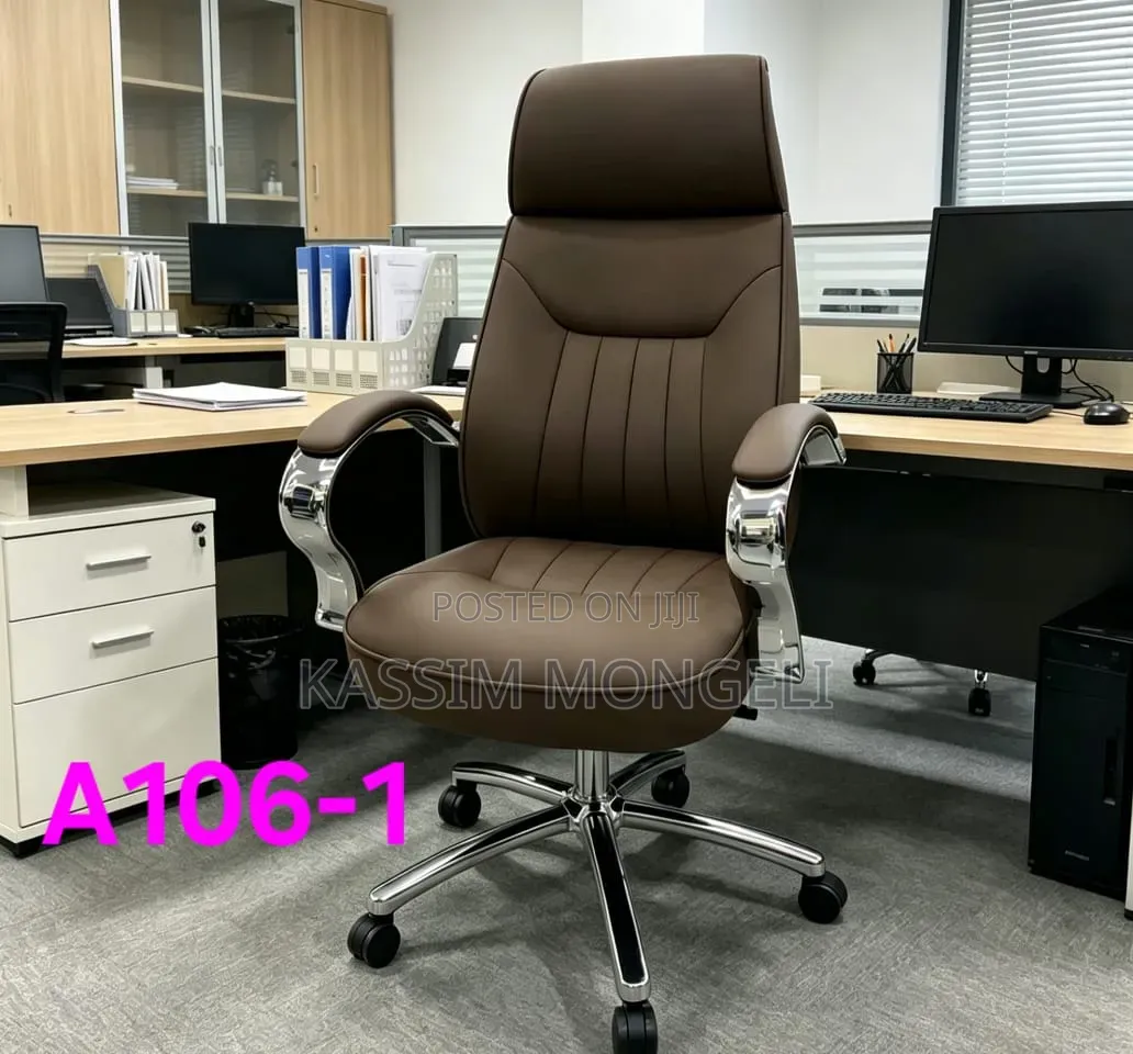 Ergonomic Chairs
