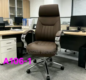 Ergonomic Chairs