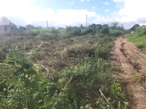 Tunauza Na Kukopesha Viwanja Kibaha Kwa Matiasi Na Boko Mnemela