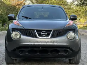Nissan Juke 2011 Gray