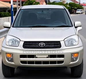 Toyota RAV4 2002 Gray