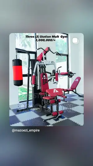 Three Mult Gym