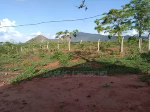 Shamba Kubwa Linauzwa Morogoro